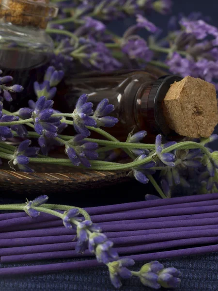 Lavendel massageolja — Stockfoto