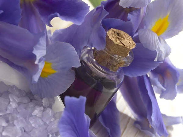 Sal de baño con flor de iris — Foto de Stock
