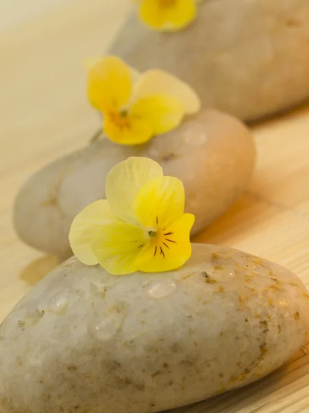 Piedras de spa con flores —  Fotos de Stock