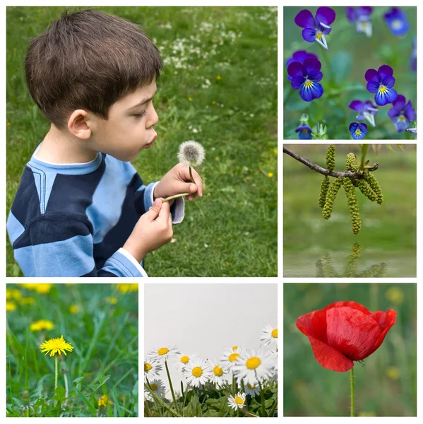 Мальчик и красивые цветы — стоковое фото