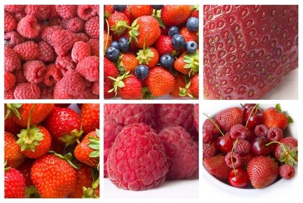 Frische gesunde blaue und rote Früchte — Stockfoto