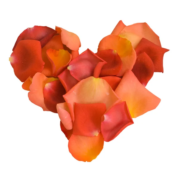 Heart made of rose petals — Stock Photo, Image