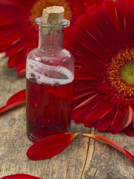 Cosmétiques dans les bouteilles avec des fleurs de gerber rouge — Photo