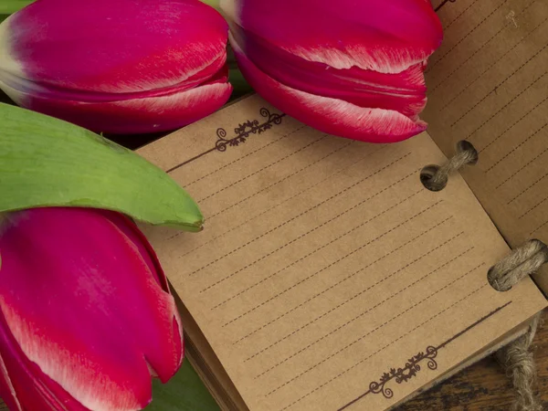 Vintage notitieboekje met tulpen — Stockfoto