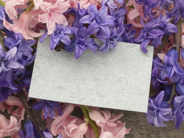 아름 다운 봄 꽃으로 인사말 카드 — 스톡 사진