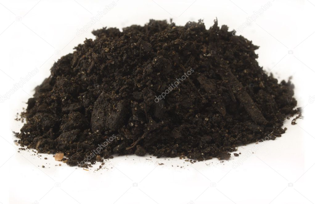 Soil isolated on white background