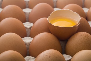 Raw eggs in an egg carton clipart