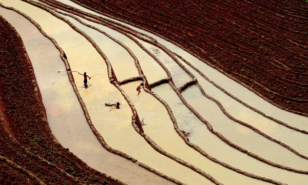 stock image La Pan Tan, Yen Bai, Viet Nam