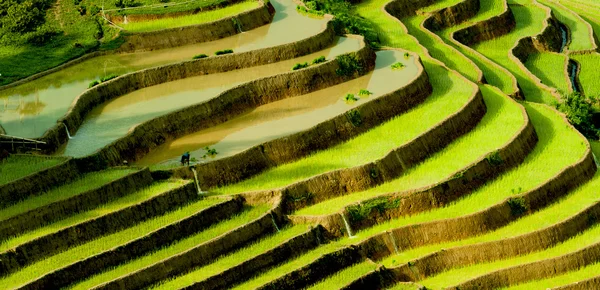 Tu le, yen bai, Vietnam — Stockfoto