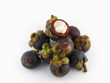 birçok mangosteen