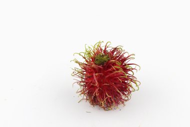 Rambutan meyve türleri.