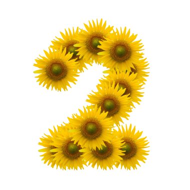 2, sun flower alfabesi üzerinde beyaz izole