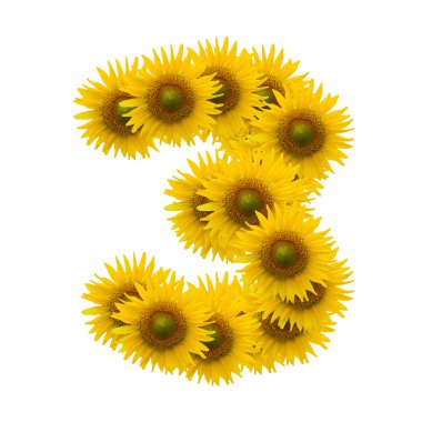 3, sun flower alfabesi üzerinde beyaz izole