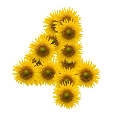 4, sun flower alfabesi üzerinde beyaz izole