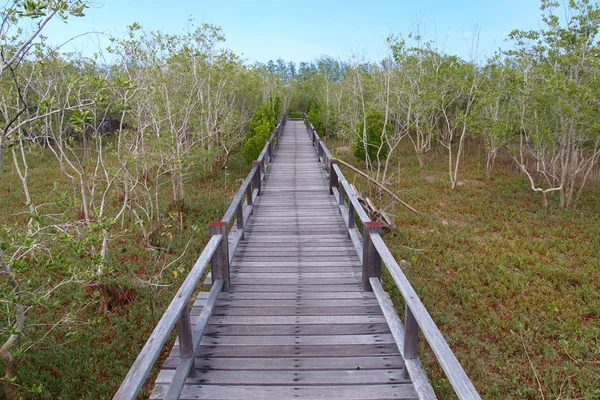 Een van hout brug — Stockfoto