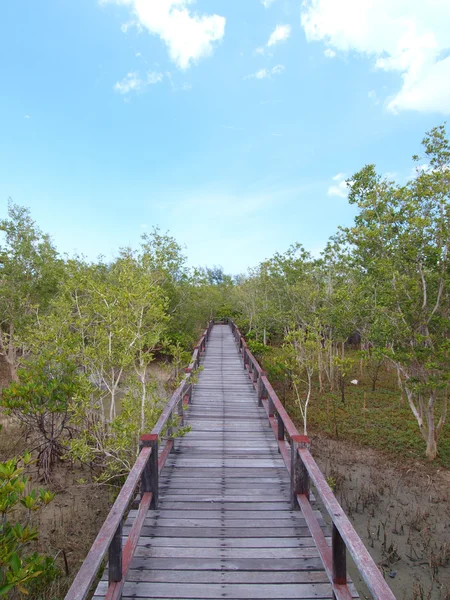 Un puente de madera — Foto de Stock