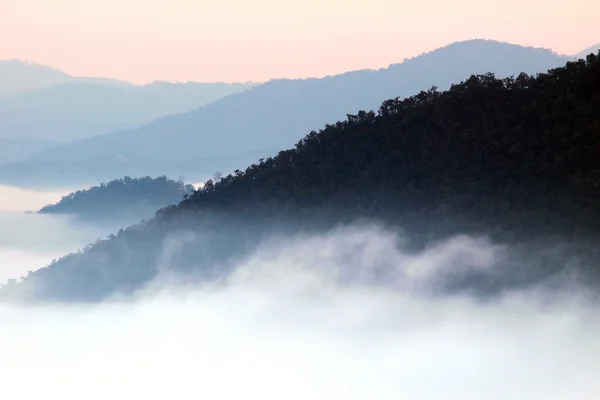 Morgennebel bedeckt den Berg, Thailand — Stockfoto