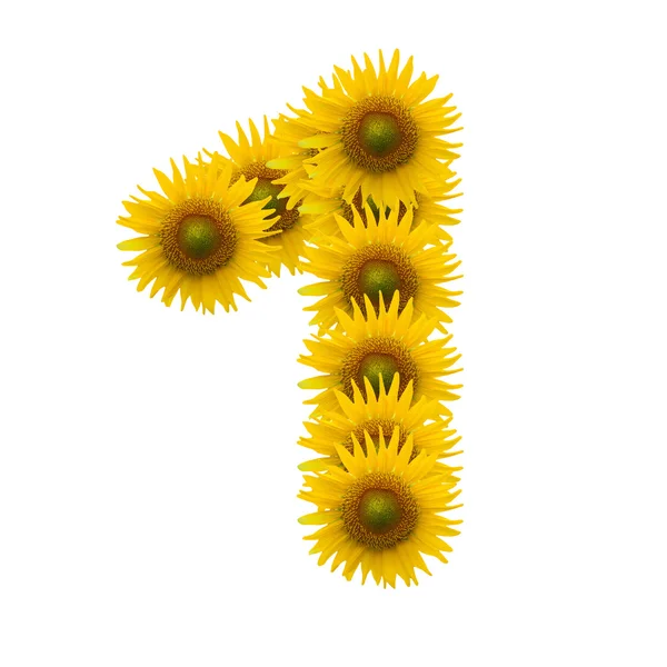 1, abeceda květin slunce izolované na bílém — Stock fotografie