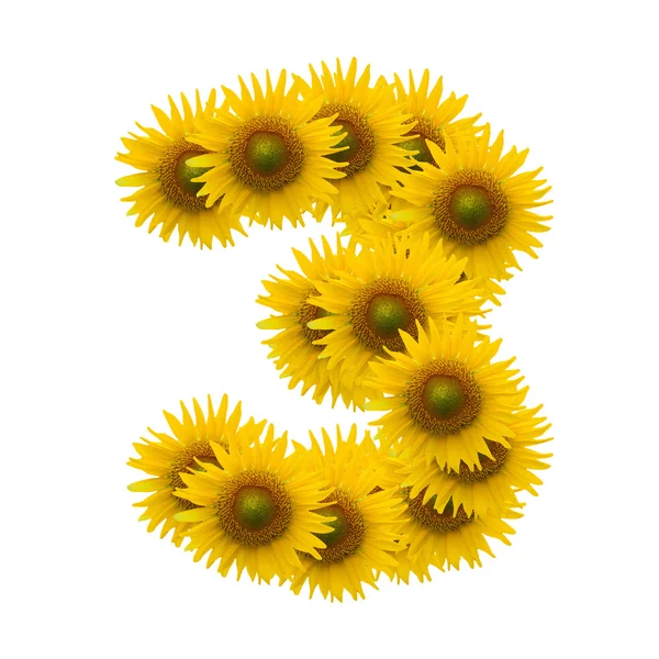 3, alphabet de fleur de tournesol isolé sur blanc — Photo