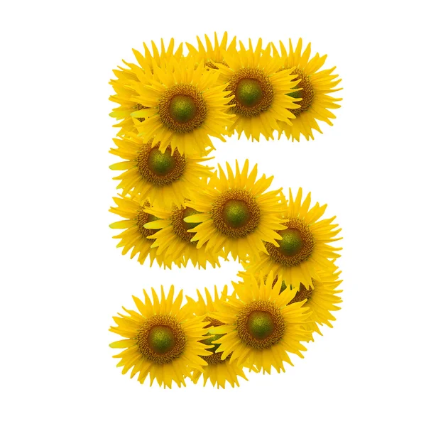 5, sun flower alfabesi üzerinde beyaz izole — Stok fotoğraf