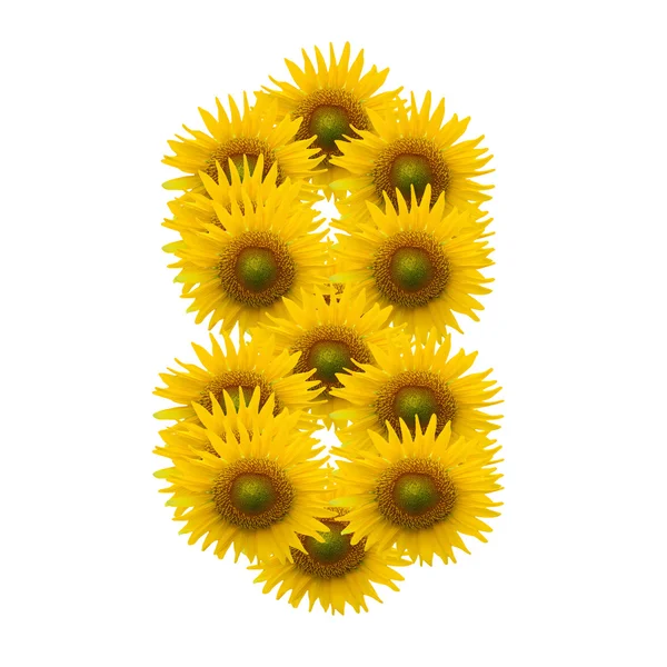 8, Sun flower alphabet isolated on white — Stock Photo, Image