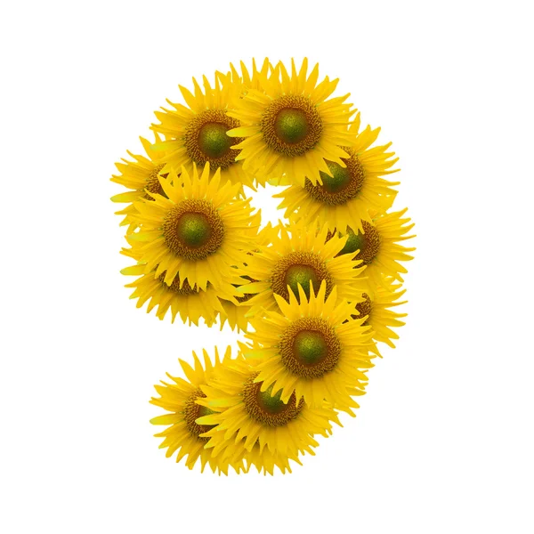 9, alfabet de floarea soarelui izolat pe alb — Fotografie, imagine de stoc