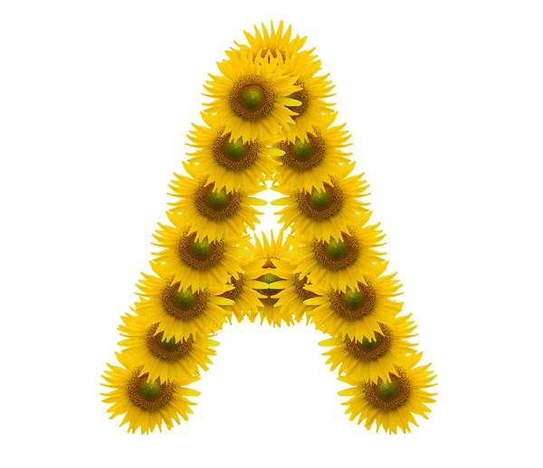 Huruf A, Alfabet bunga matahari diisolasi pada warna putih — Stok Foto