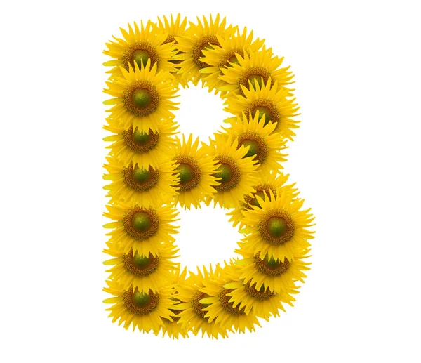 Alphabet B, sunflower isolated on white background — Stock Photo, Image