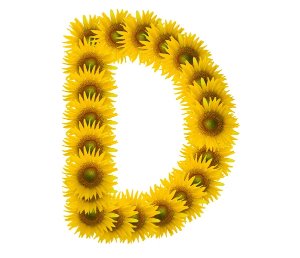 Alphabet D, sunflower isolated on white background — Stock Photo, Image