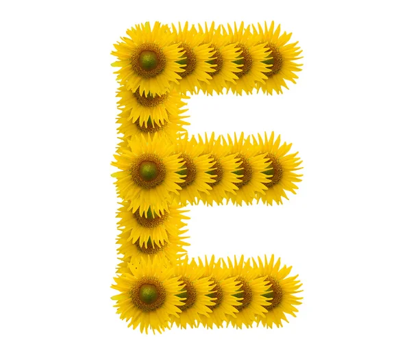 Alfabet E, bunga matahari diisolasi pada latar belakang putih — Stok Foto