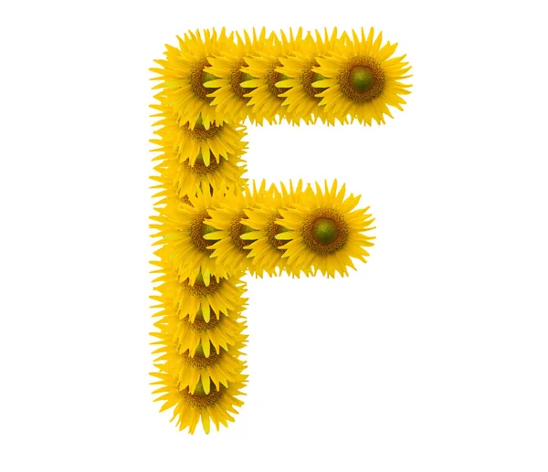 Alfabetul F, floarea-soarelui izolat pe fundal alb — Fotografie, imagine de stoc