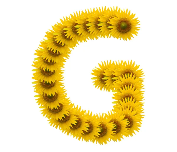 Alphabet G, sunflower isolated on white background — Stock Photo, Image