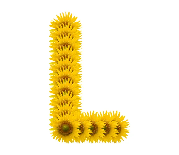 Alfabet L, bunga matahari diisolasi pada latar belakang putih — Stok Foto