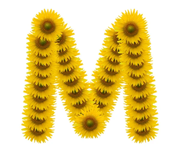 Alfabet M, bunga matahari diisolasi pada latar belakang putih — Stok Foto