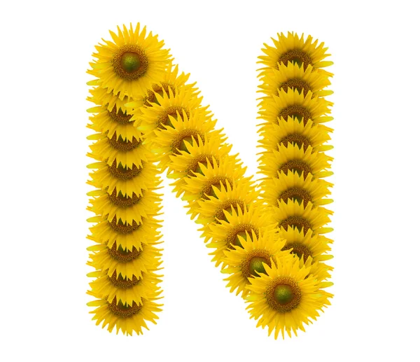 Alphabet N, sunflower isolated on white background — Stock Photo, Image