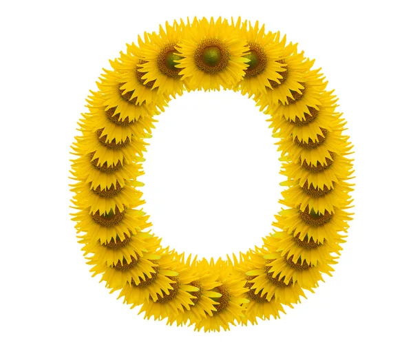 Buchstabe o, Sonnenblume isoliert auf weißem Hintergrund — Stockfoto