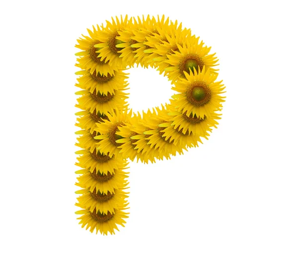 Alphabet P, sunflower isolated on white background — Stock Photo, Image