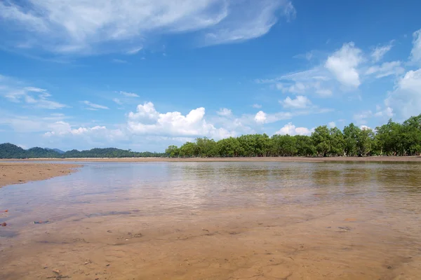 Tropisk strand, mangrove träd i södra Thailand — Stockfoto