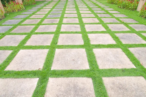 Травянистые плитки гуляют по саду — стоковое фото