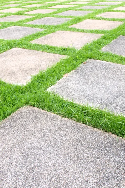 Hermosas baldosas de hierba caminan en el jardín —  Fotos de Stock