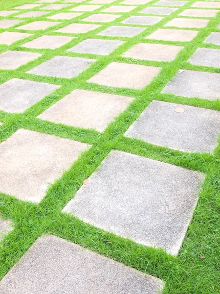 Vackra gräs plattor promenad sätt i trädgården — Stockfoto