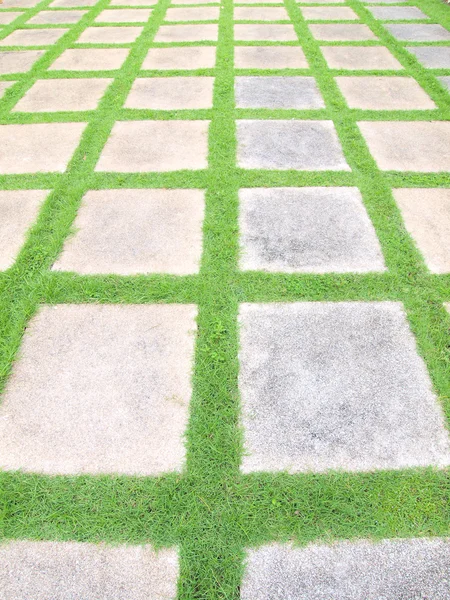 Vackra gräs plattor promenad sätt i trädgården — Stockfoto