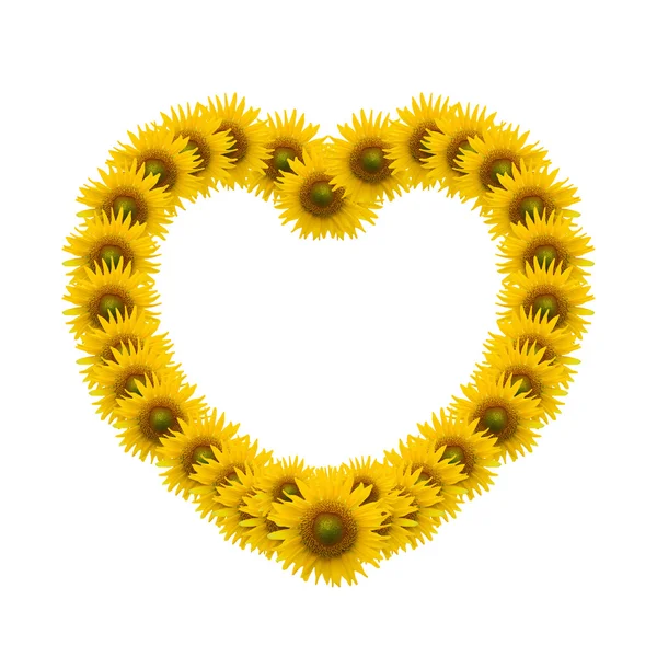 Izolát obraz slunečnice srdce na bílém pozadí — Stock fotografie