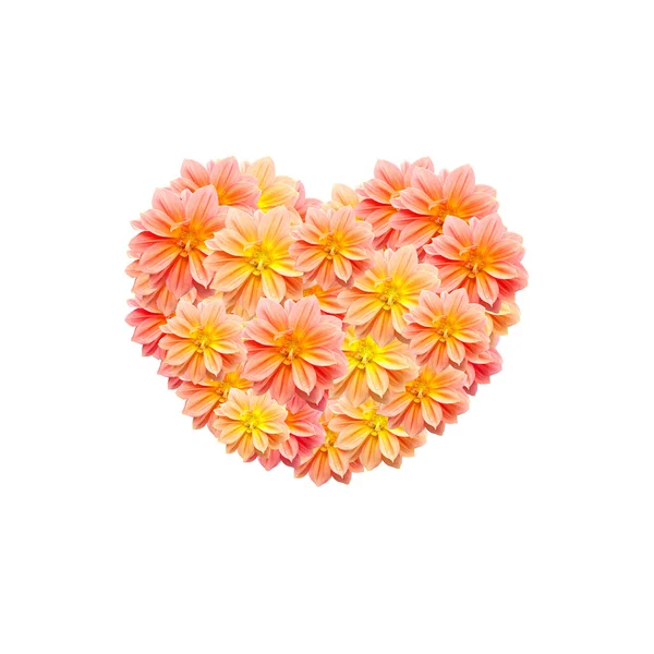Mooie bloem met witruimte hart vorm — Stockfoto
