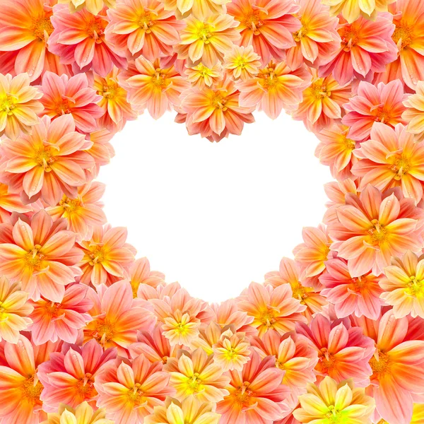Beyaz boşluk kalp şeklinde güzel bir çiçek — Stok fotoğraf