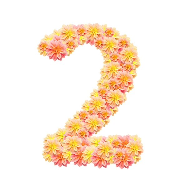 2,flower alphabet isolated on white — Stock Photo, Image