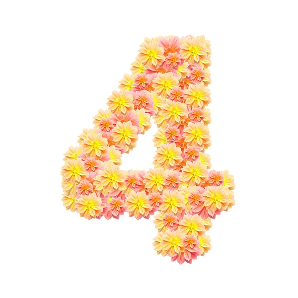 4, alfabeto del fiore isolato su bianco — Foto Stock