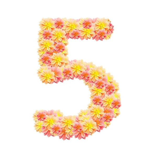5,flower alphabet isolated on white — Stock Photo, Image