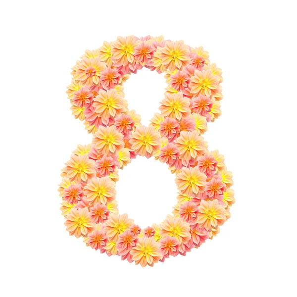 8,flower alphabet isolated on white — Stock Photo, Image