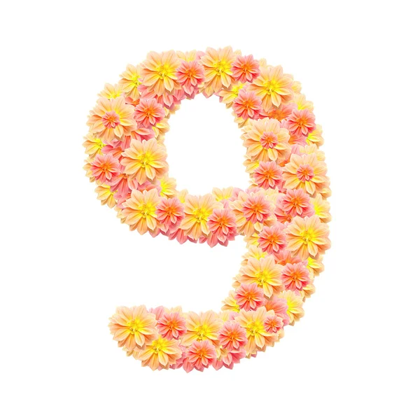 9, alphabet de fleurs isolé sur blanc — Photo